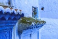 Life in Chefchaouen Medina, Morocco Royalty Free Stock Photo